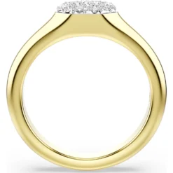 Anello Dextera