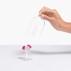 Bouquet di Rose