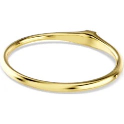 Bracciale rigido Dextera