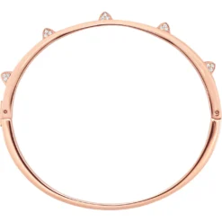 Bracciale rigido Dextera