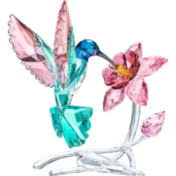 Colibrì