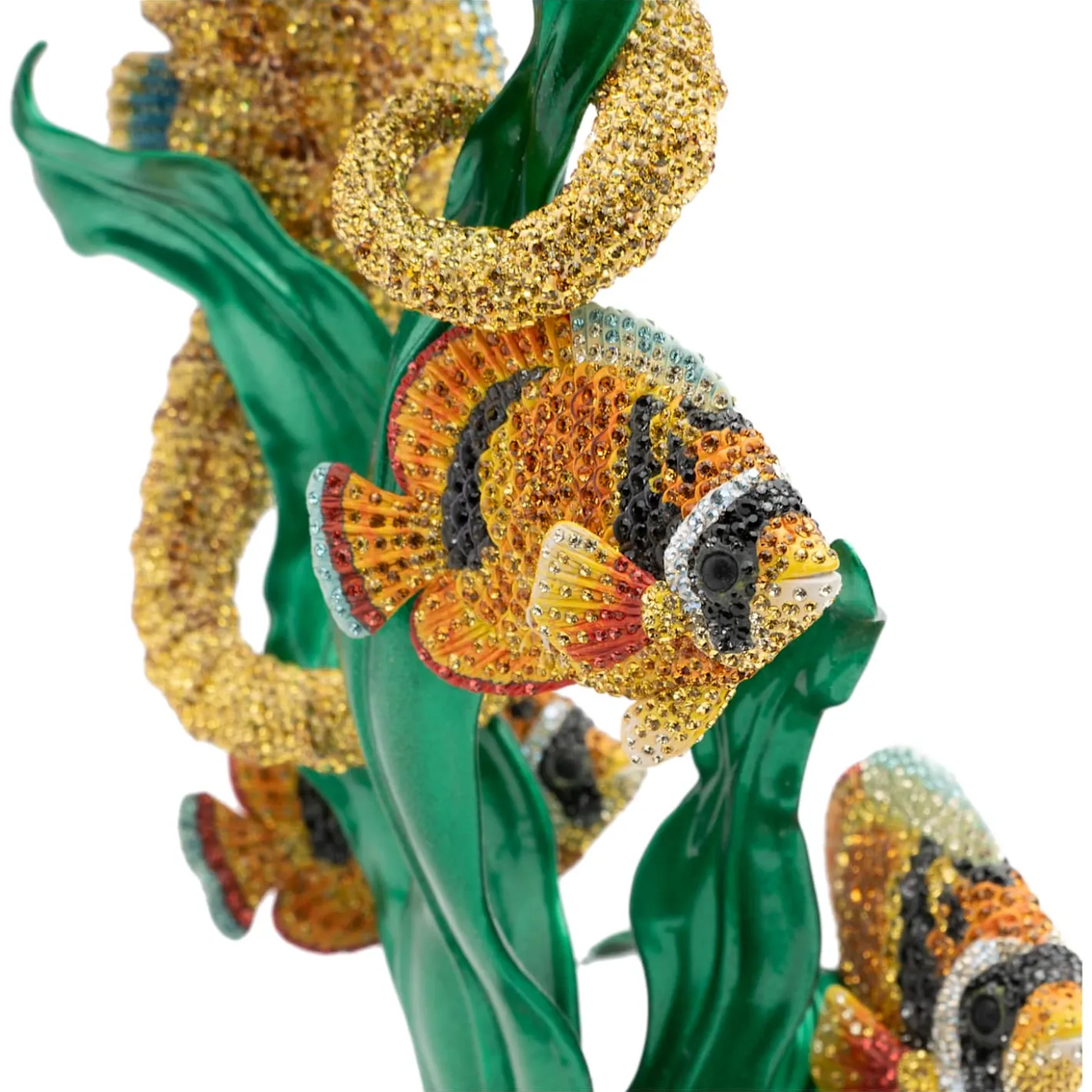 Crystal Myriad Cavalluccio maculato