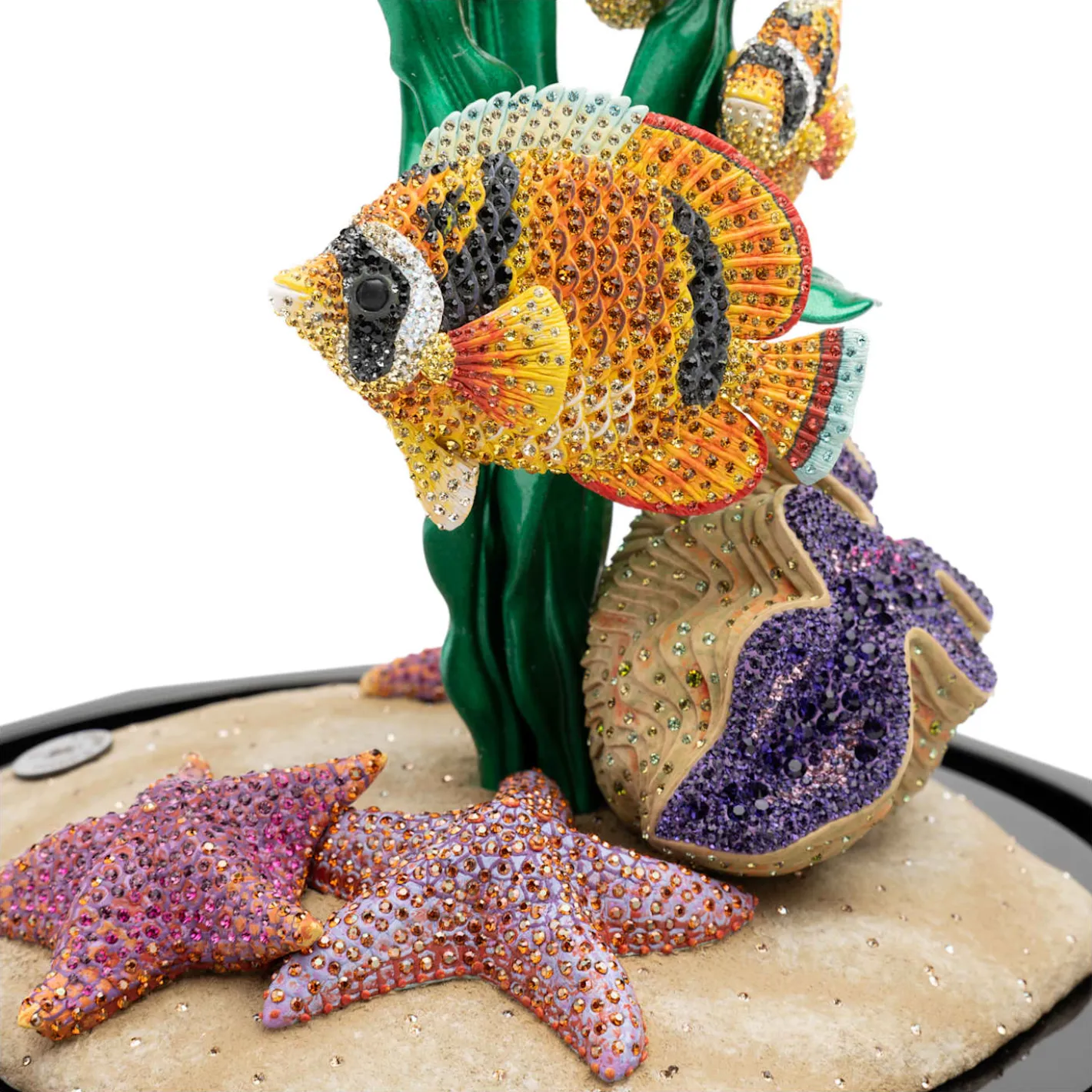Crystal Myriad Cavalluccio maculato