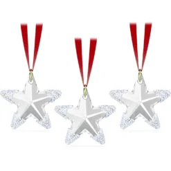 Exclusive Decorazione Stella d’Inverno Set di 3
