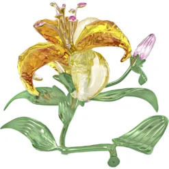 Florere Giglio