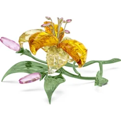 Florere Giglio