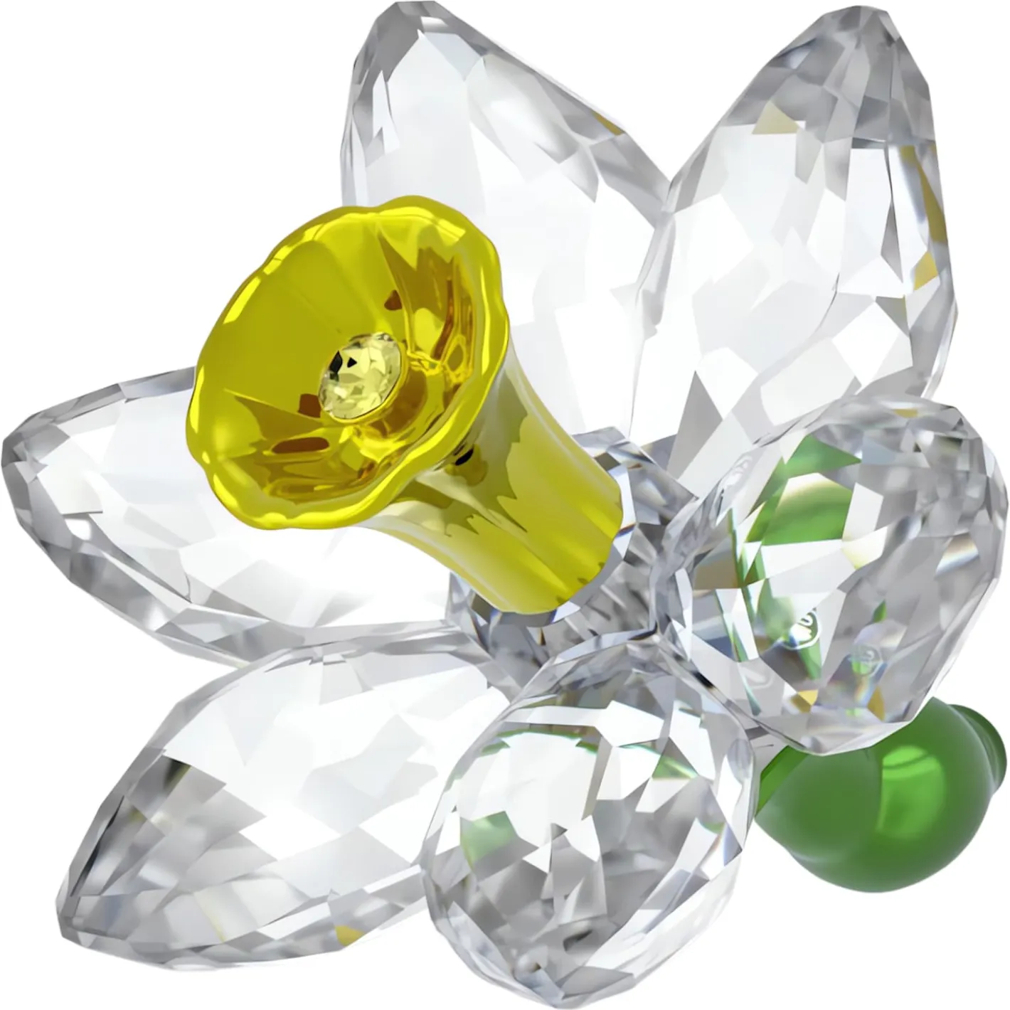 Florere Narciso