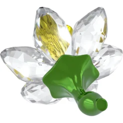 Florere Narciso