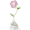 Florere Rosa