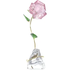 Florere Rosa