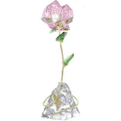 Florere Rosa