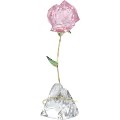 Florere Rosa