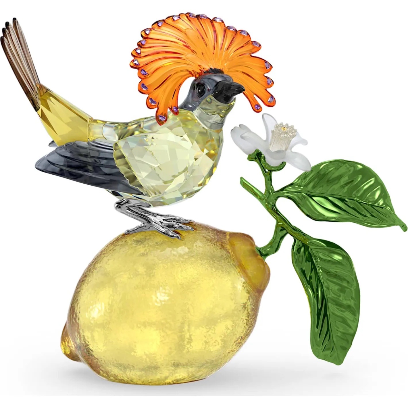 Idyllia Acchiappamosche reale