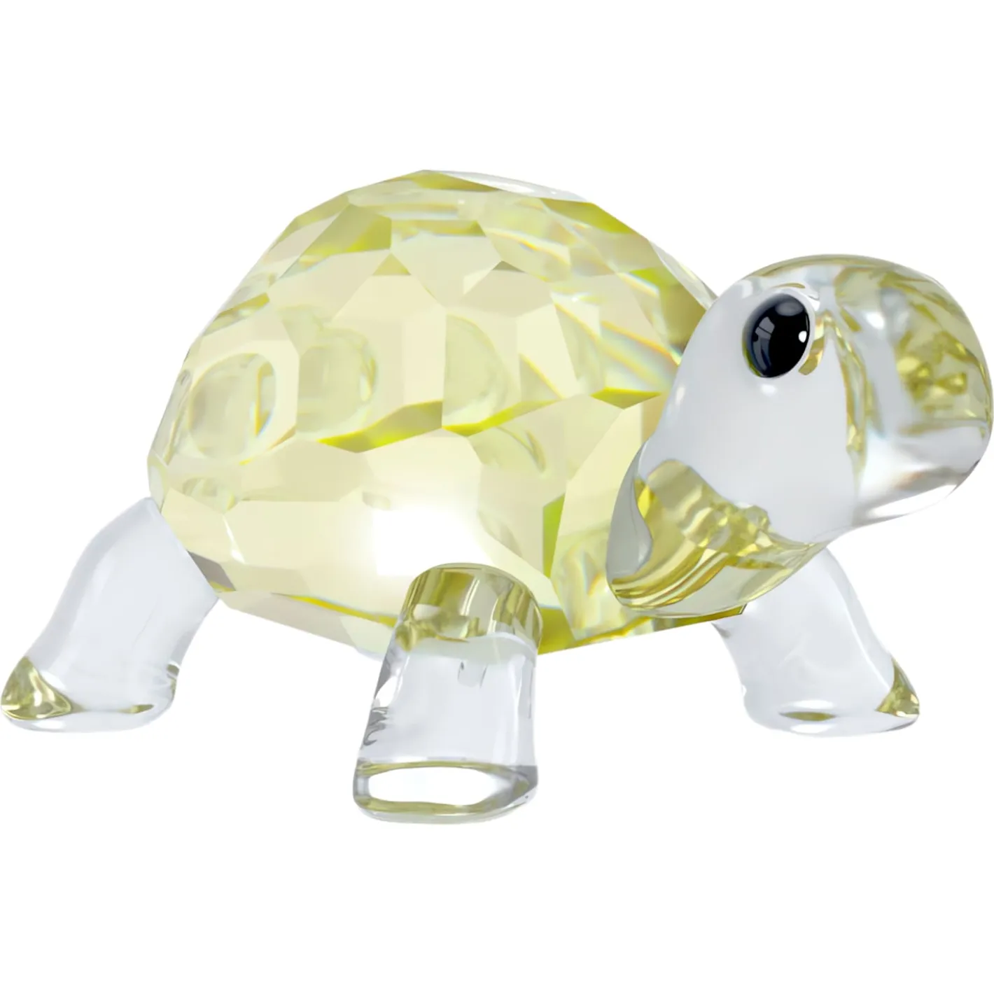 Idyllia Baby Tartaruga