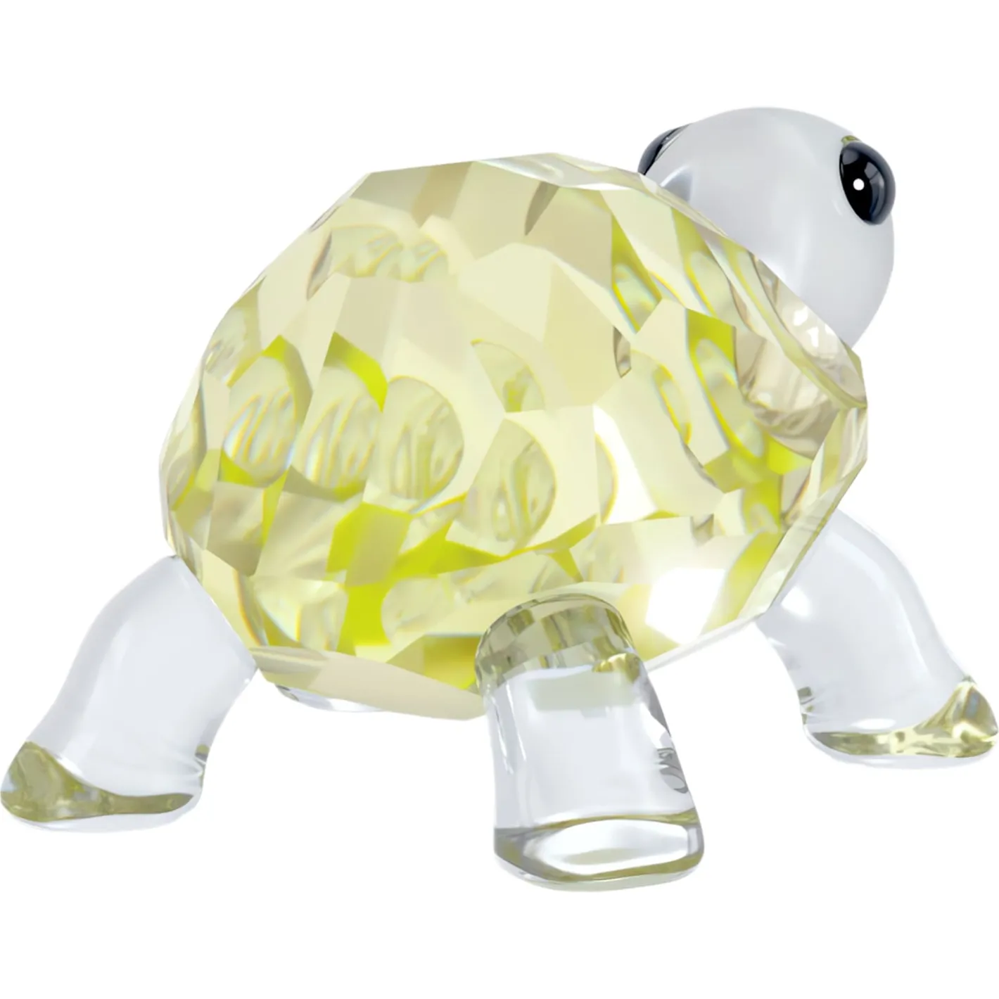 Idyllia Baby Tartaruga