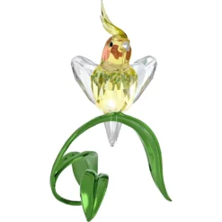 Idyllia Calopsitta