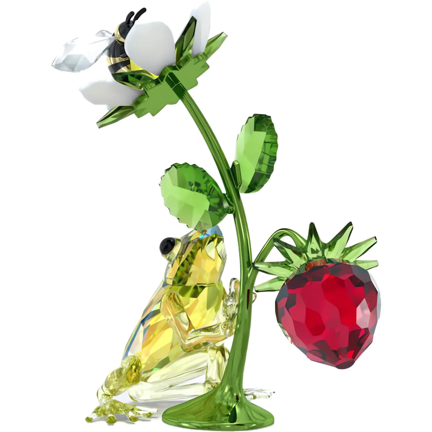 Idyllia Rana