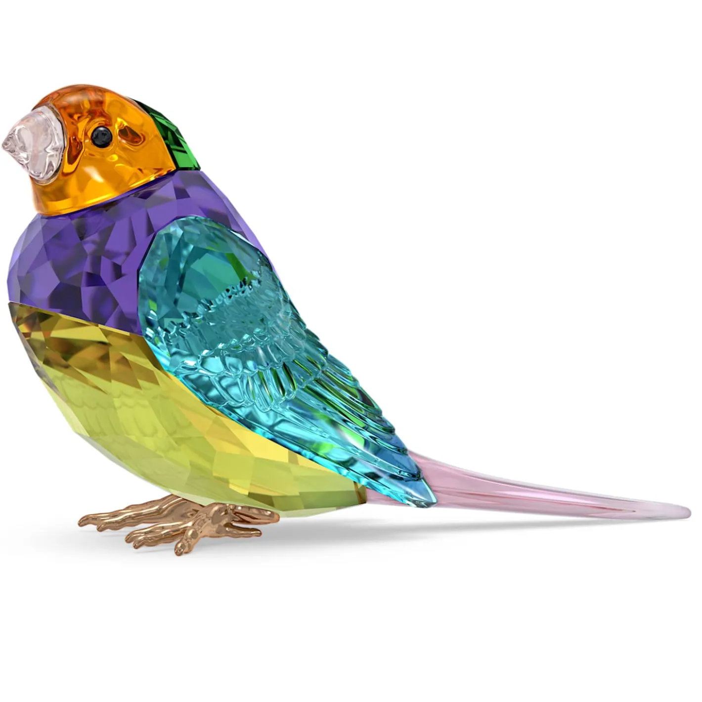 Idyllia SCS Diamante di Gould