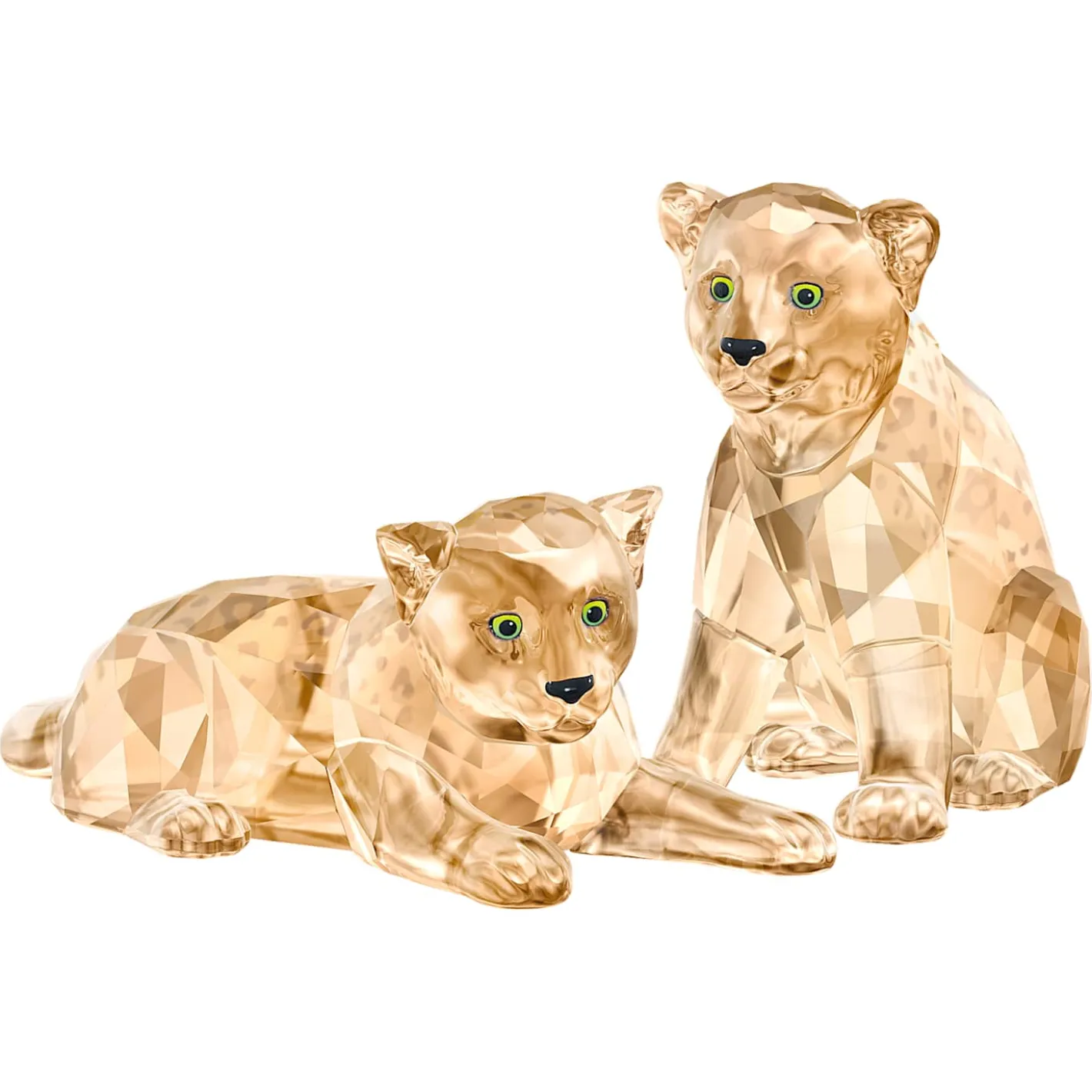 SCS Cuccioli di leopardo dell’Amur