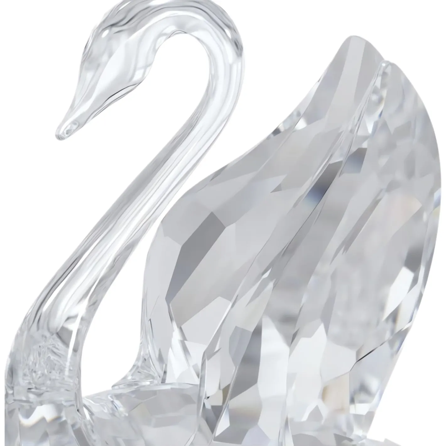 Signum Cigno